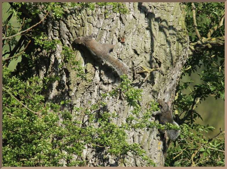 Archived & Images of the Day